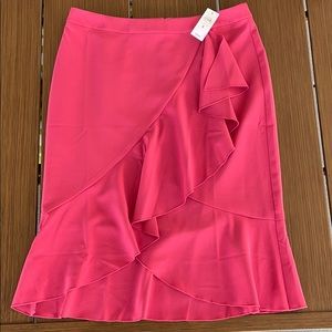 Ann Taylor skirt